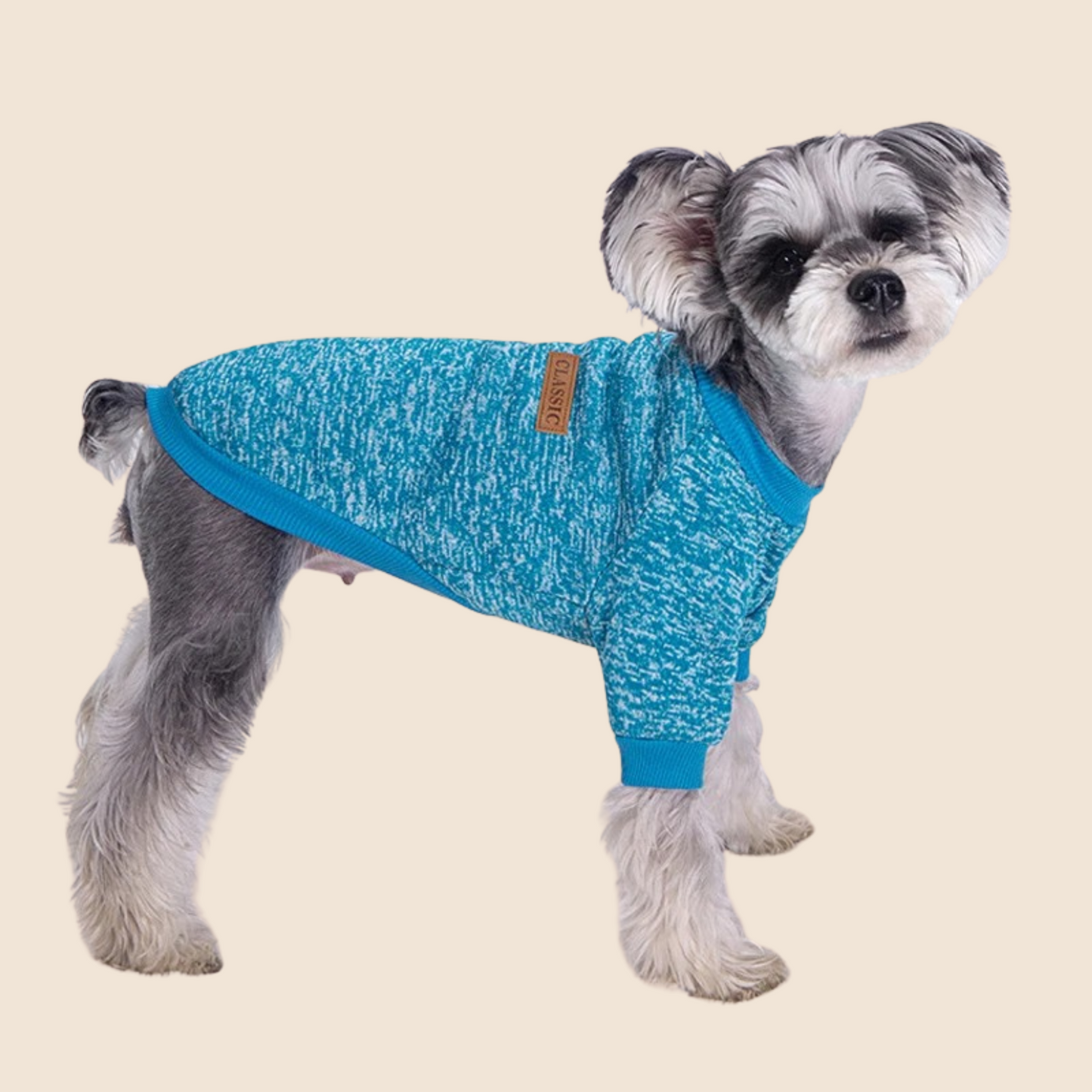 CozyPaws™ Lightweight Dog Hoodie – Comfy Style for All Seasons! 🐶🍂❄🌸