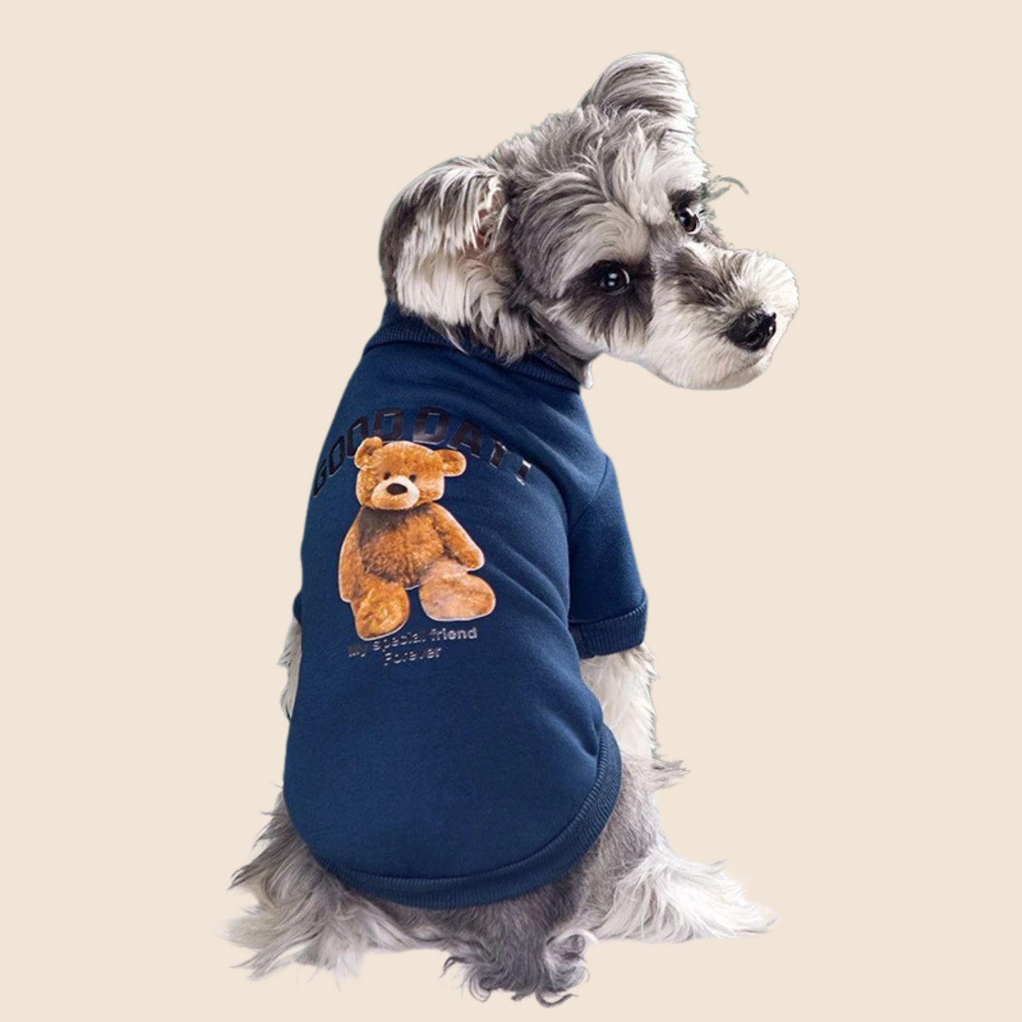 BearPaws™ Adorable Pet Sweater – Cozy, Cute & Cuddly! 🐻🐾