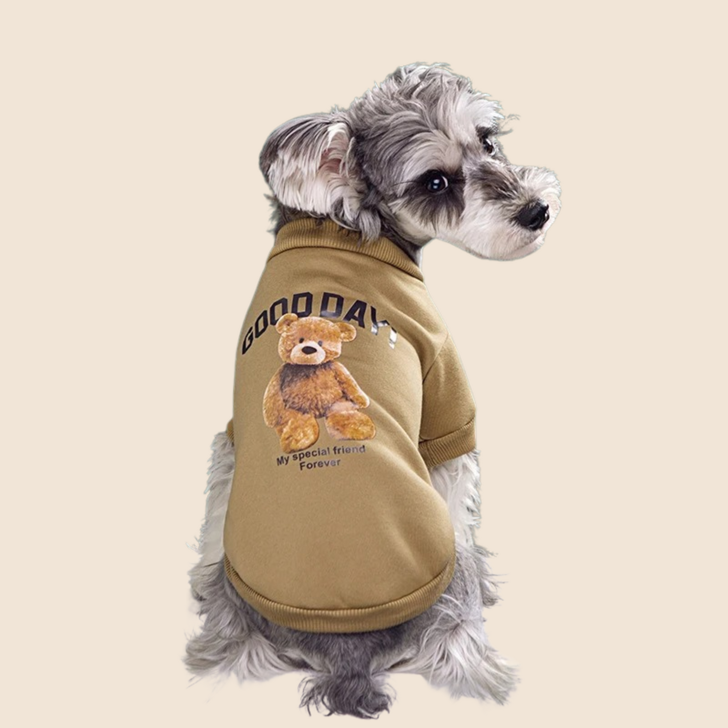 BearPaws™ Adorable Pet Sweater – Cozy, Cute & Cuddly! 🐻🐾