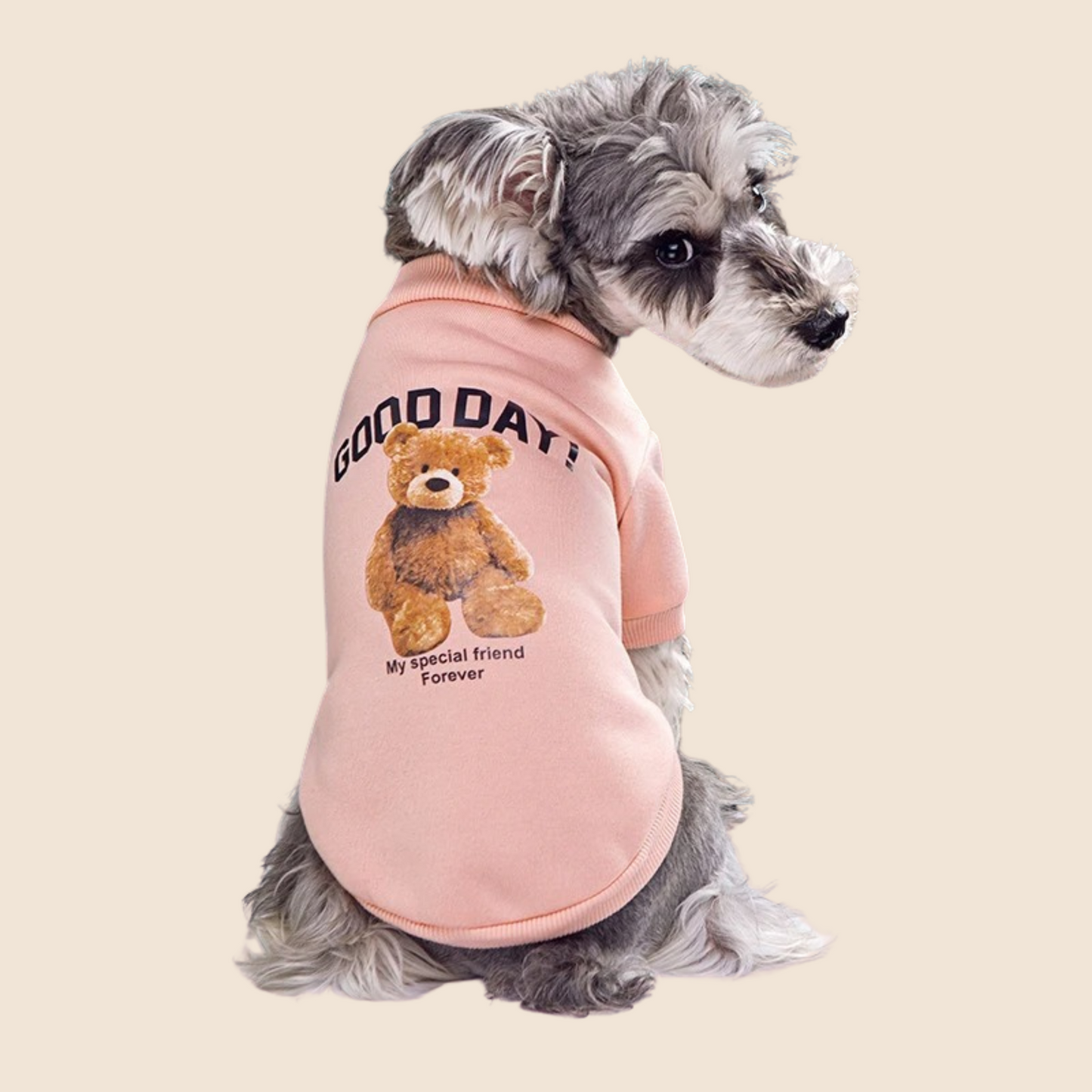 BearPaws™ Adorable Pet Sweater – Cozy, Cute & Cuddly! 🐻🐾
