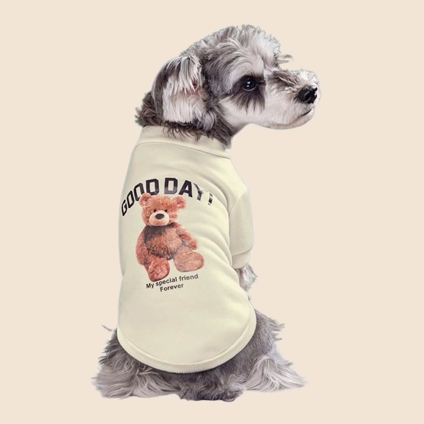 BearPaws™ Adorable Pet Sweater – Cozy, Cute & Cuddly! 🐻🐾