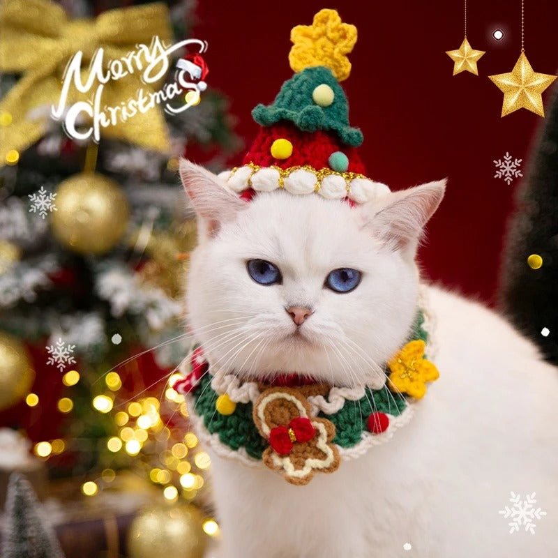 Furry Festive Wig 🎉🐾