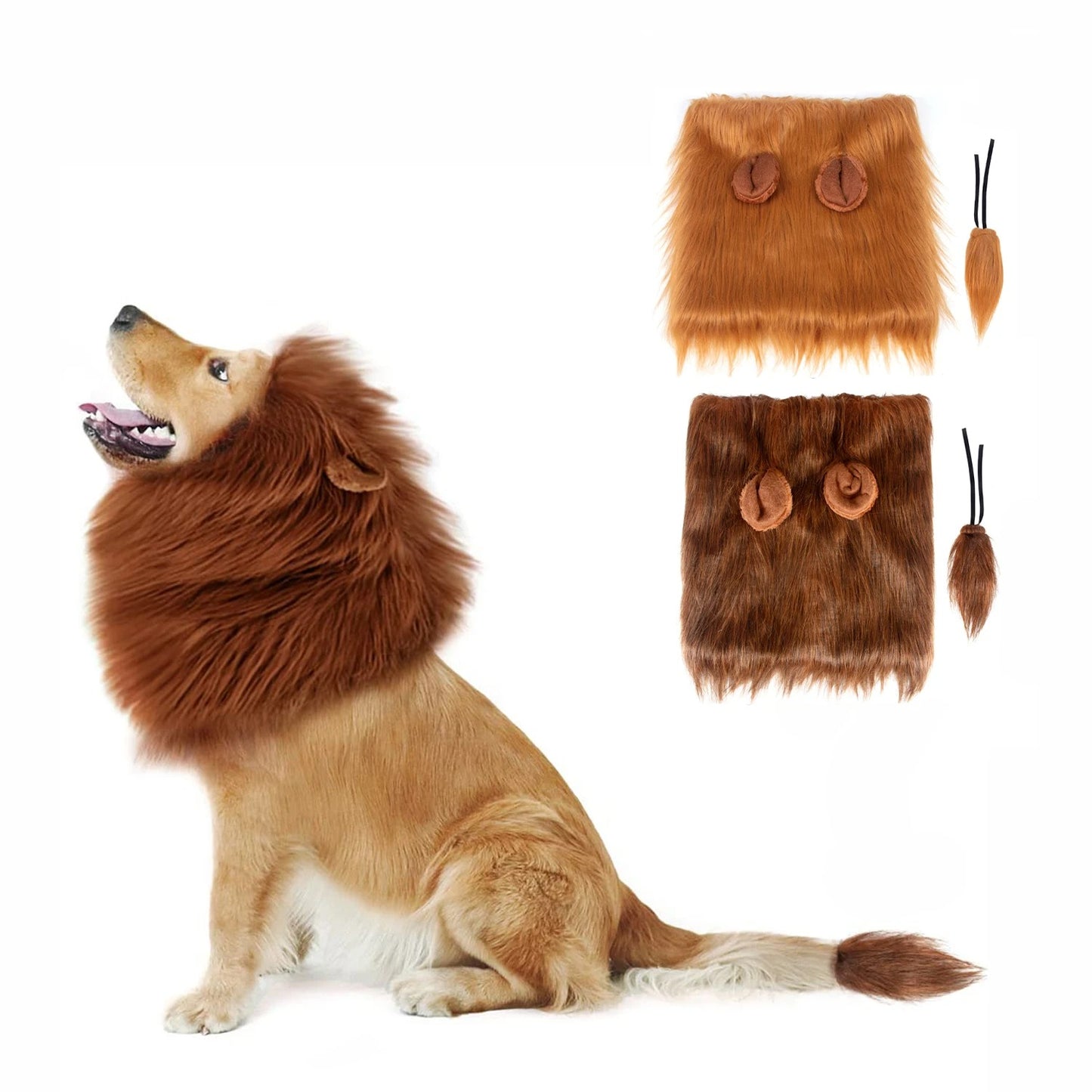King of the Jungle Costume 🦁🐾