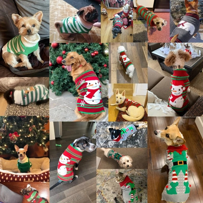 Cozy Pawlidays Sweater 🐶❄️