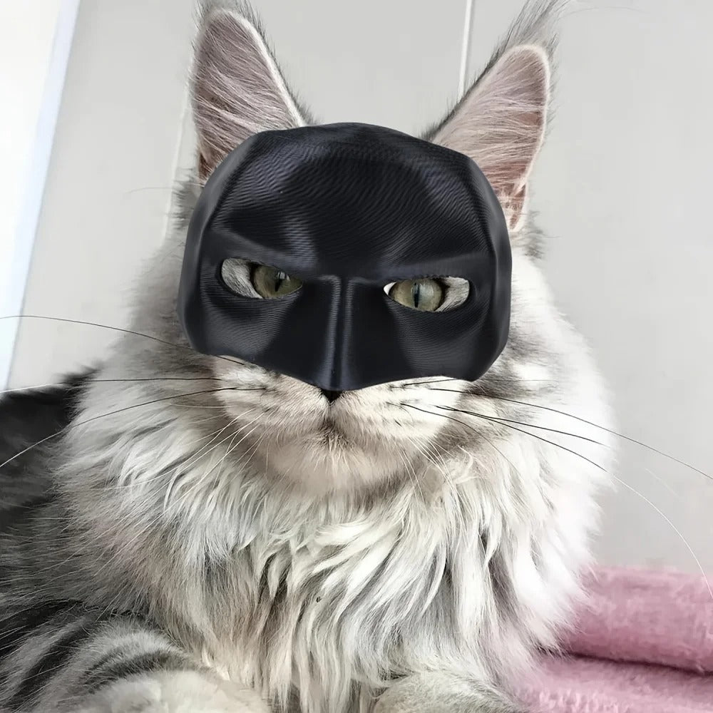 Spooky Paws Bat Mask 🦇🐾