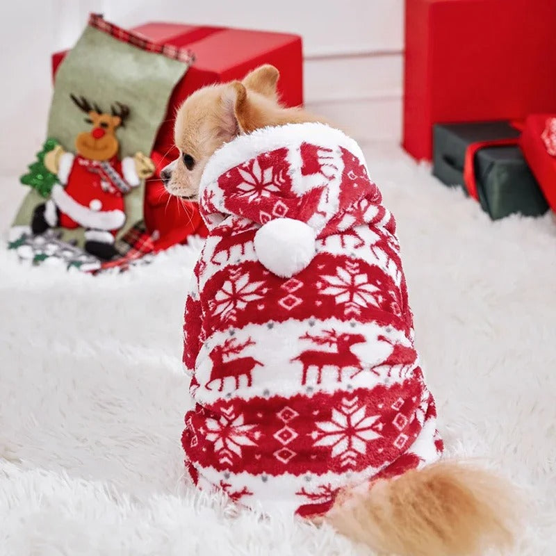 Frosty Paws Onesie ❄️🐾