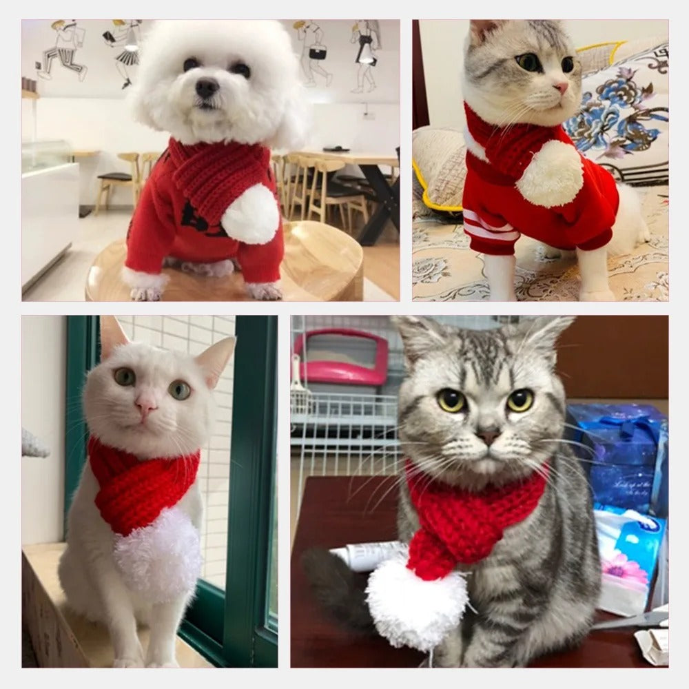 Jolly Paws Hat & Scarf Set 🎅🐾