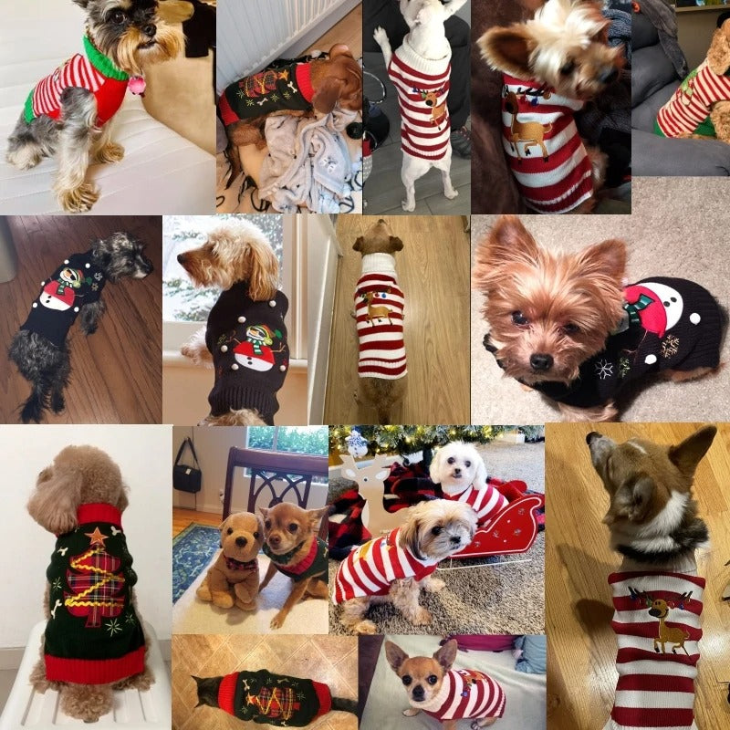 Cozy Pawlidays Sweater 🐶❄️