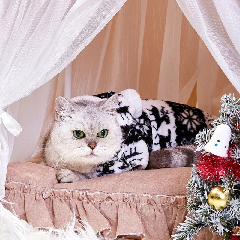 Frosty Paws Onesie ❄️🐾