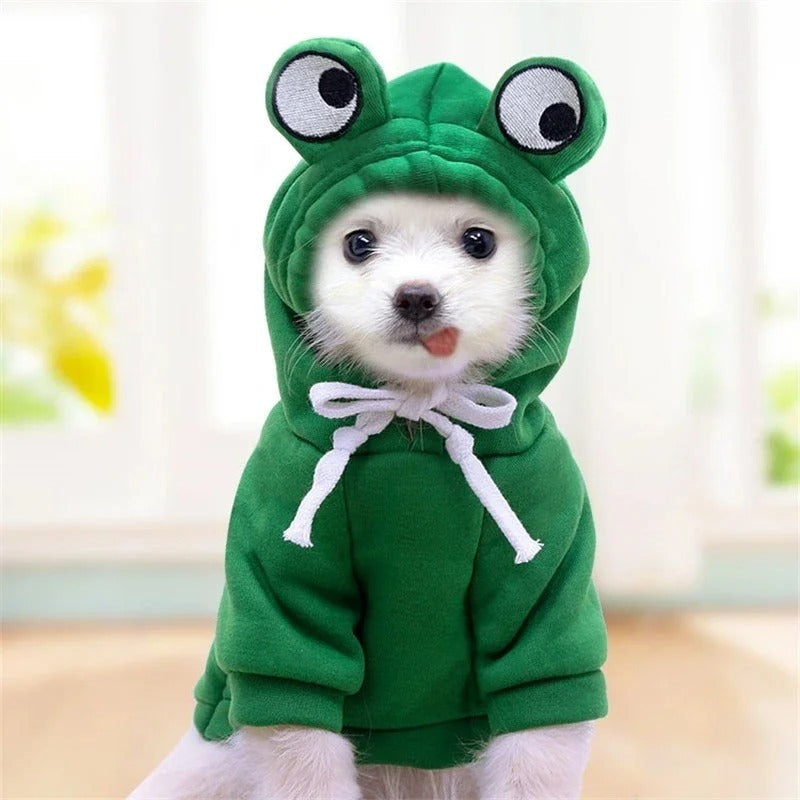 Fruit Hoodie 🍓🐾