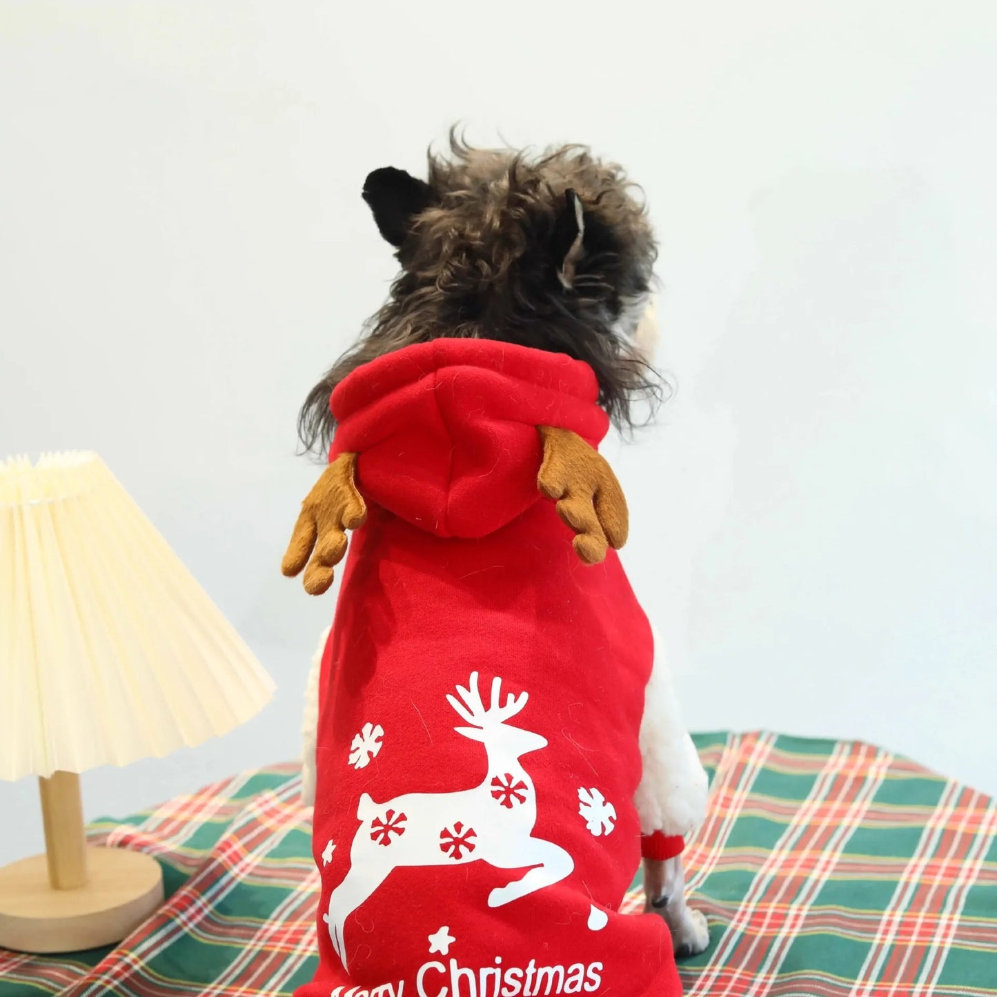 Holiday Fawn Sweatshirt 🦌🐾