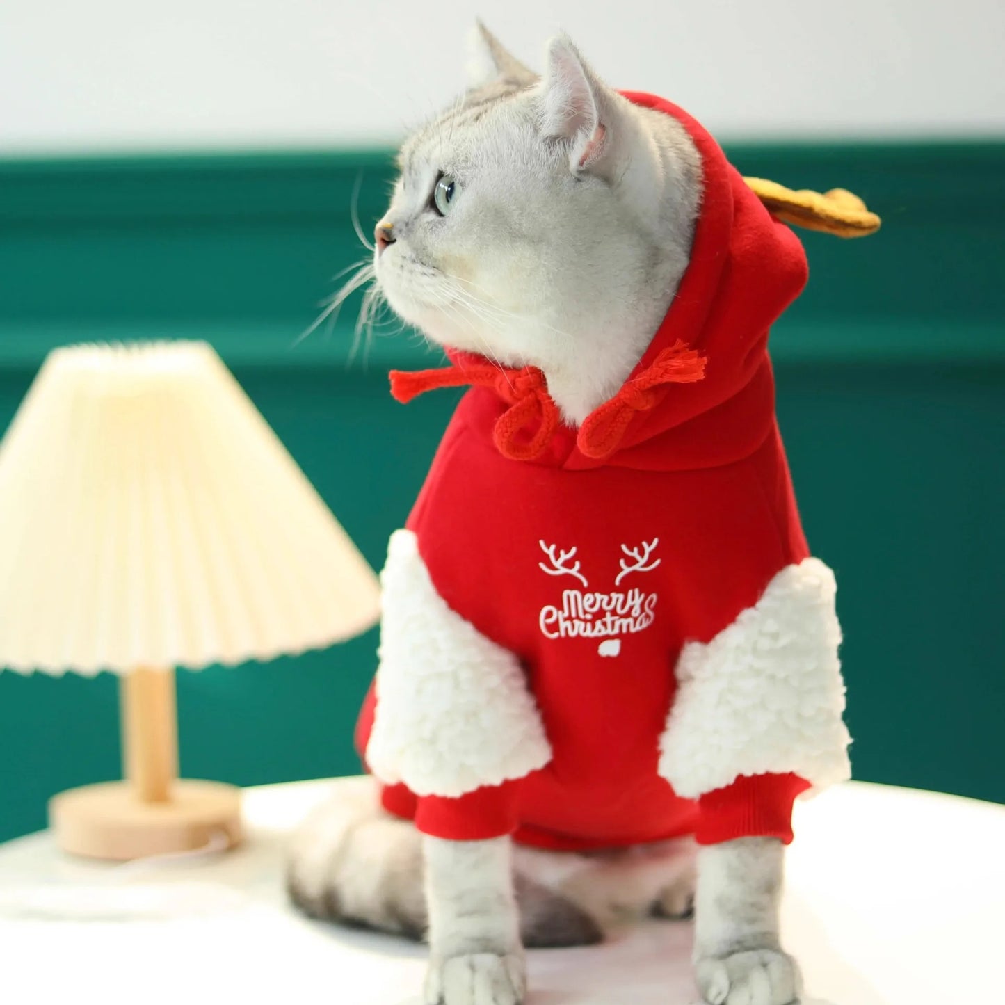 Holiday Fawn Sweatshirt 🦌🐾
