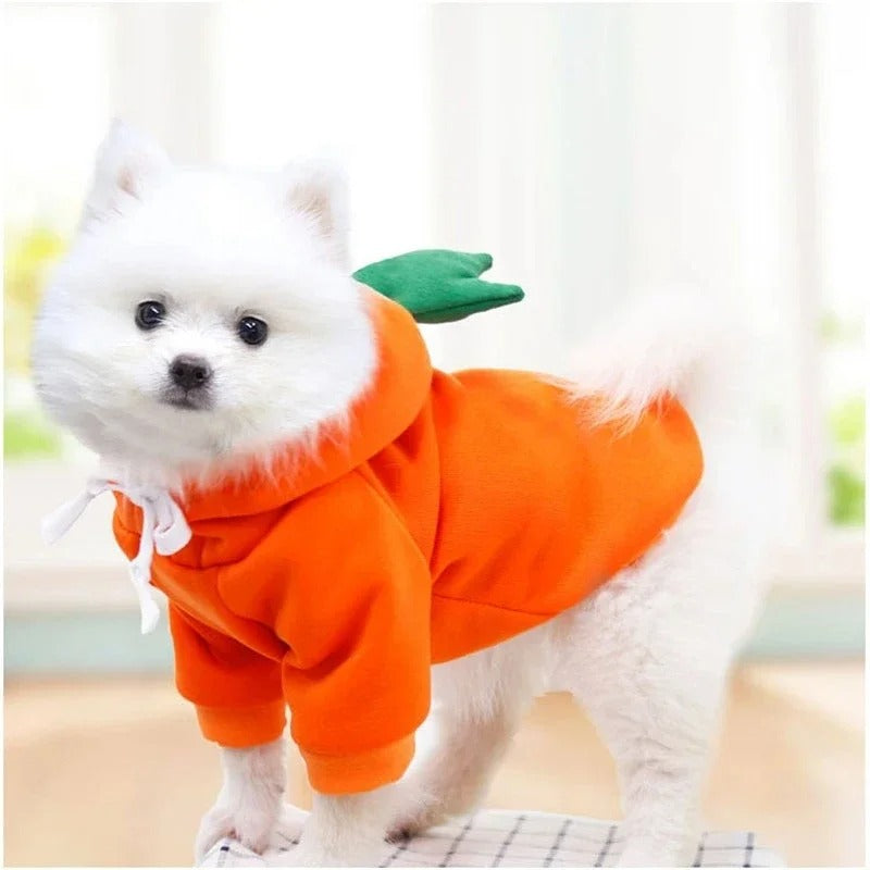 Fruit Hoodie 🍓🐾