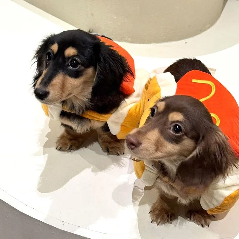 Hot Dog Pup Costume 🌭🐾