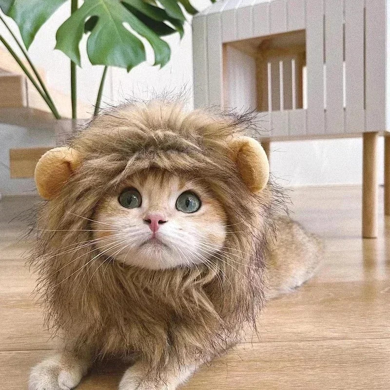 Little Lioness Mane 🦁🐾