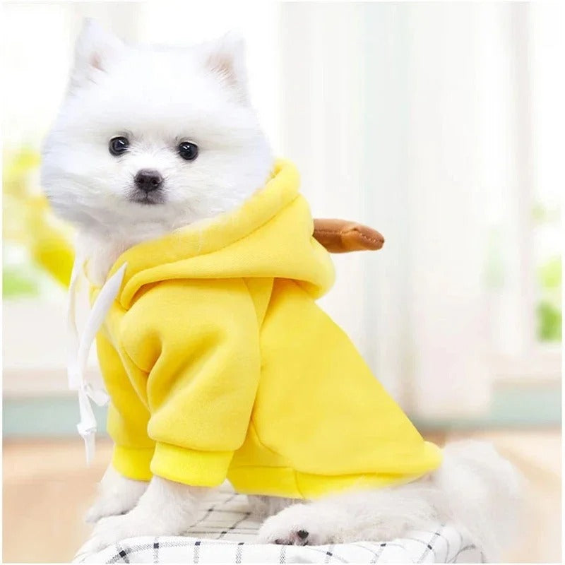 Fruit Hoodie 🍓🐾