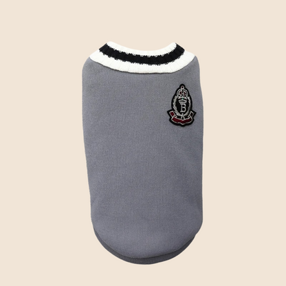 PreppyPaws™ V-Neck Sweater – Chic & Cozy for Stylish Pets! 🎓🐾