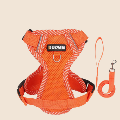 SnugPaws™ Adventure Harness Set – Comfy, Secure & Reflective! 🐾🚶‍♂️