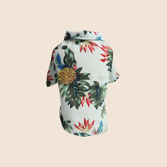 AlohaPaws™ Hawaiian Pet Polo – Floral Summer Shirt for Dogs & Cool Cats 🌺🌴 Pineapple (white)