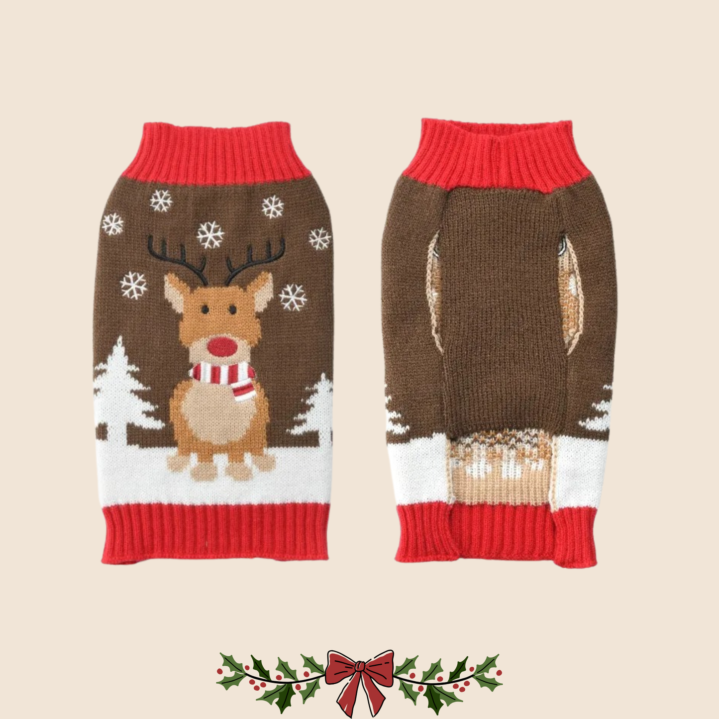 Cozy Pawlidays Sweater 🐶❄️