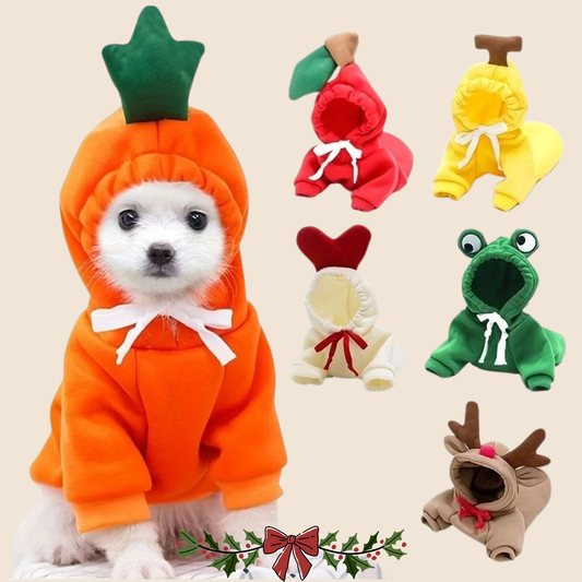 Fruit Hoodie 🍓🐾