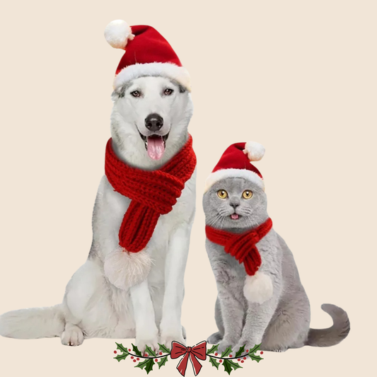 Jolly Paws Hat & Scarf Set 🎅🐾