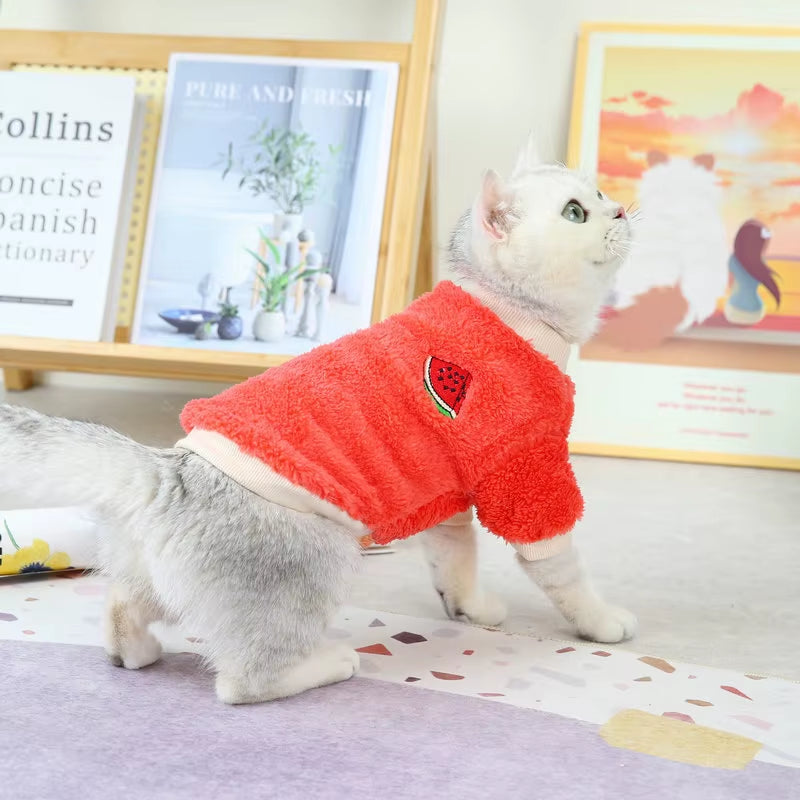 FruityPaws™ Adorable Pet Hoodie – Cozy, Cute & Comfy! 🍉🐶🍇