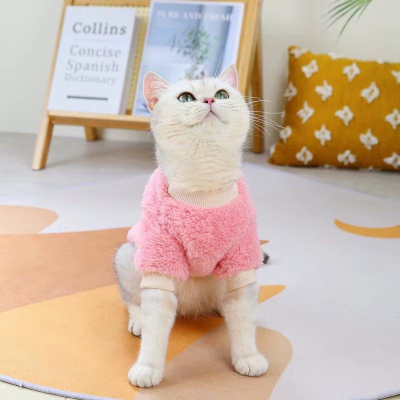 FruityPaws™ Adorable Pet Hoodie – Cozy, Cute & Comfy! 🍉🐶🍇