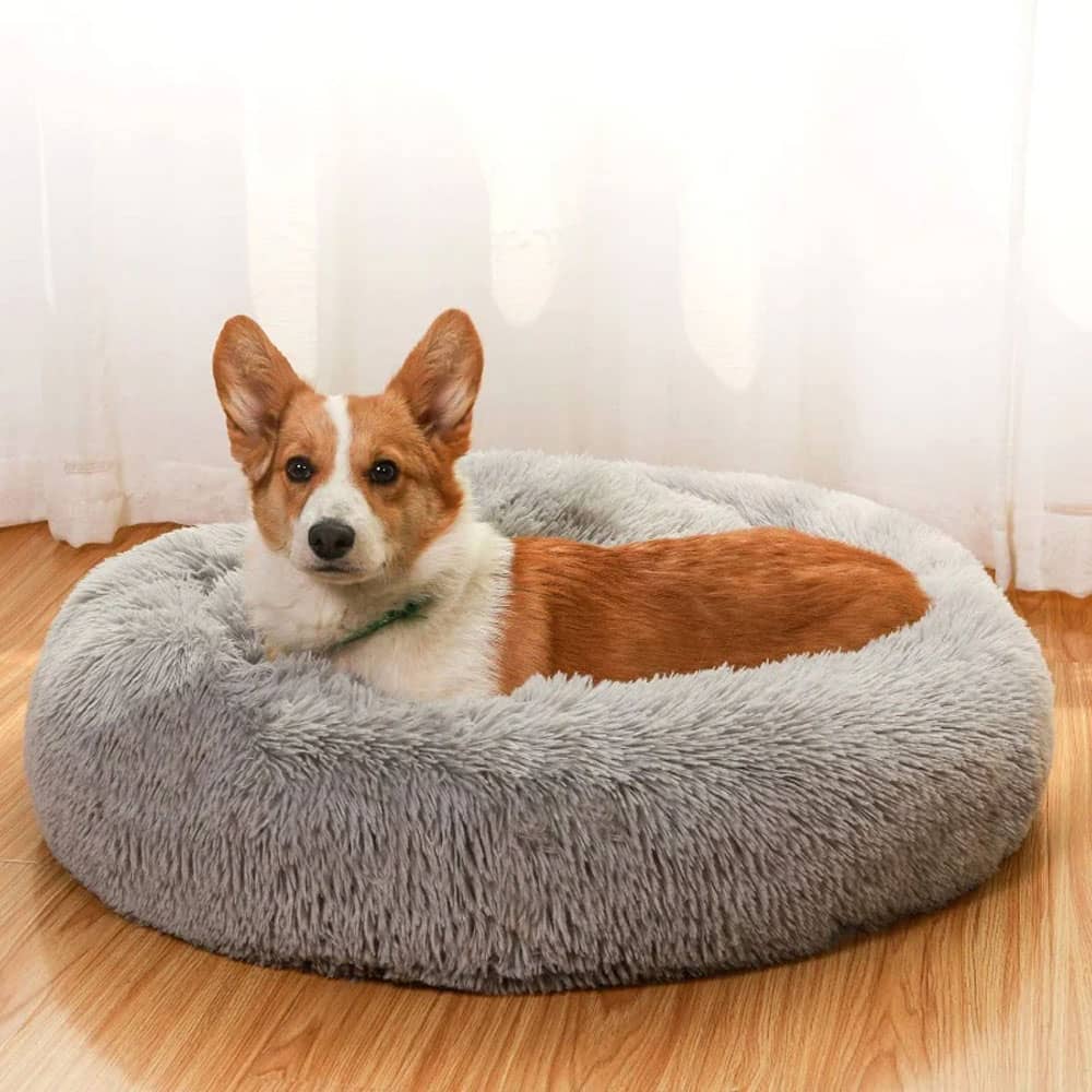 Donut Dreamer Bed