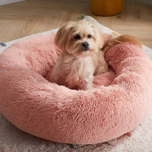 Donut Dreamer Bed