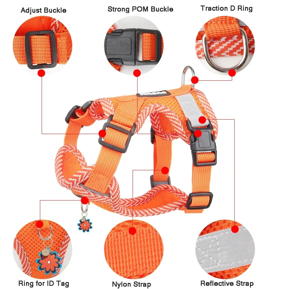 SnugPaws™ Adventure Harness Set – Comfy, Secure & Reflective! 🐾🚶‍♂️