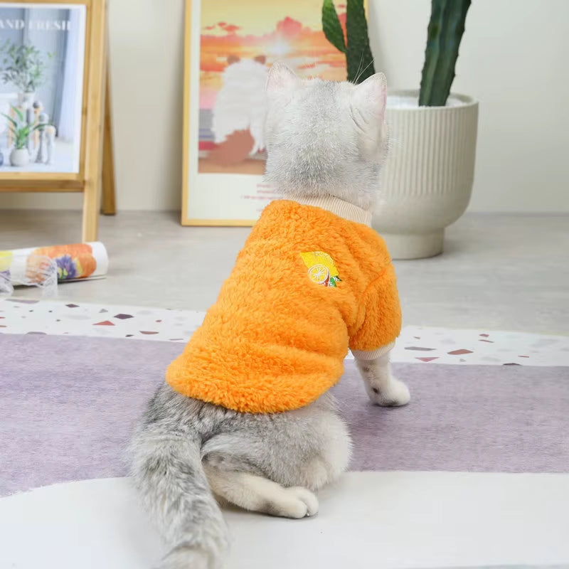 FruityPaws™ Adorable Pet Hoodie – Cozy, Cute & Comfy! 🍉🐶🍇