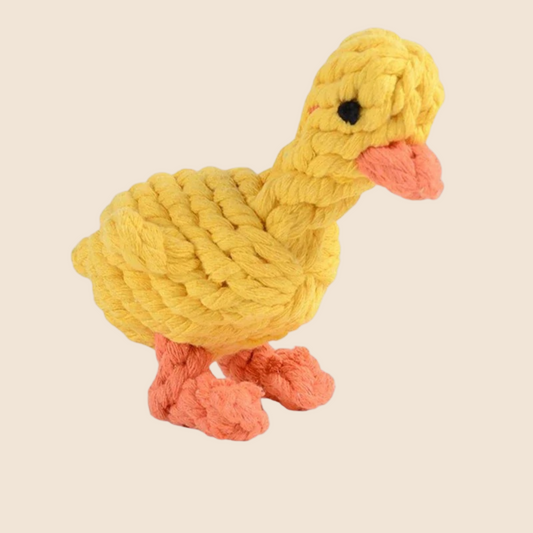 Quack Attack Chew Toy