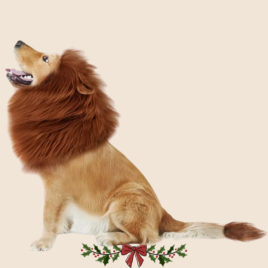 King of the Jungle Costume 🦁🐾