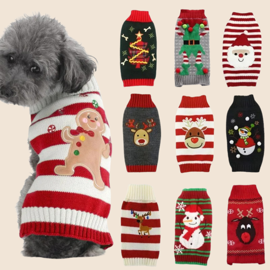 Cozy Pawlidays Sweater 🐶❄️