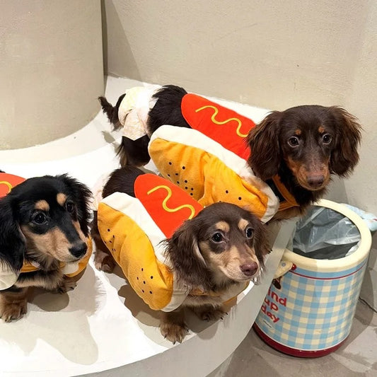 Hot Dog Pup Costume 🌭🐾