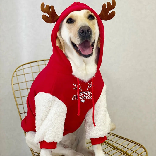 Holiday Fawn Sweatshirt 🦌🐾