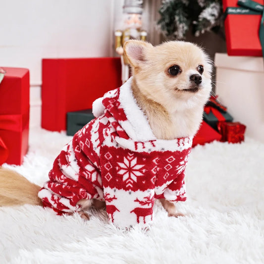 Frosty Paws Onesie ❄️🐾