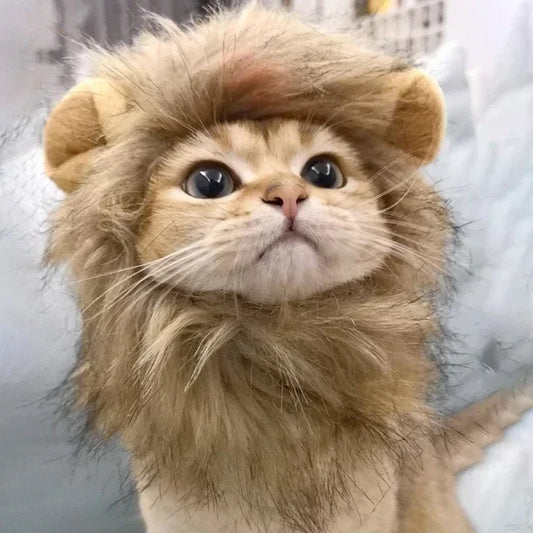 Little Lioness Mane 🦁🐾