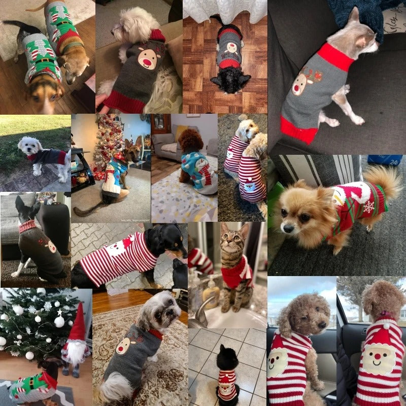 Cozy Pawlidays Sweater 🐶❄️